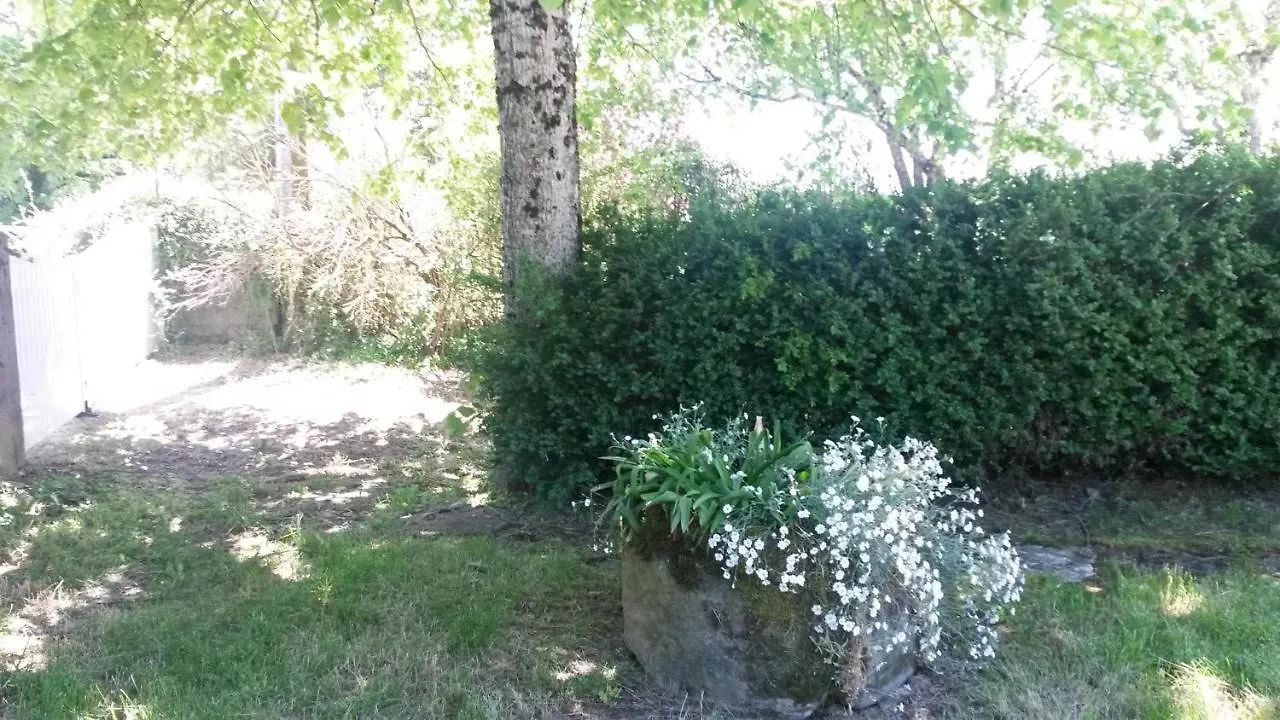 Fleur De Tilleul Vailhourles France