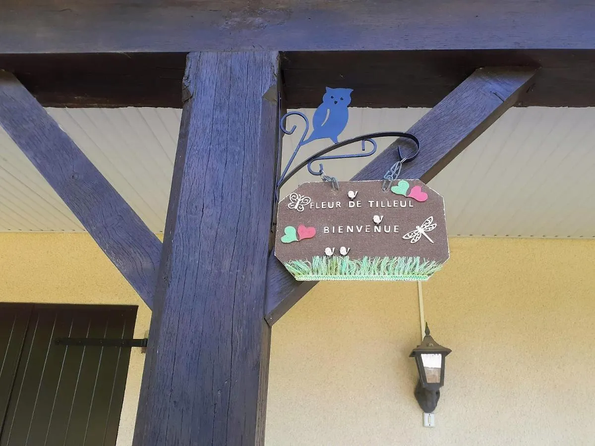 Fleur De Tilleul Vailhourles Holiday home