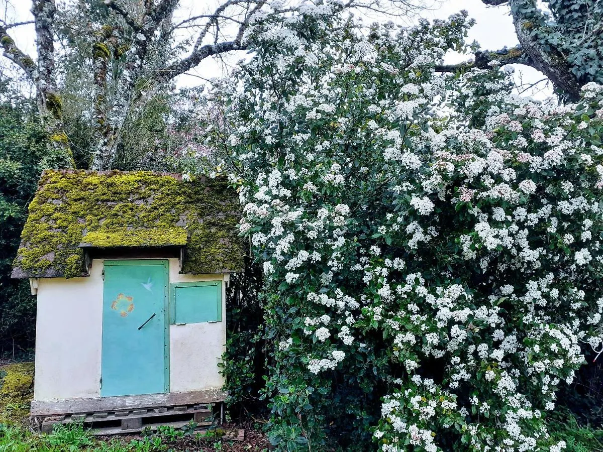 Holiday home Fleur De Tilleul Vailhourles